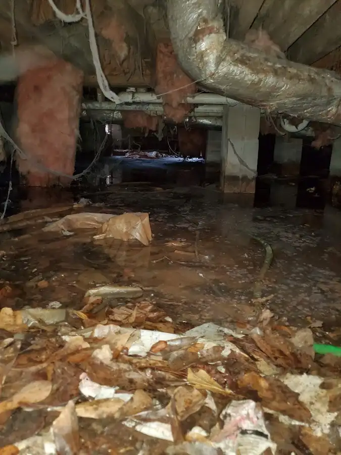 Crawl space flood assessment for Commercial Water Damage Restoration in Ramona