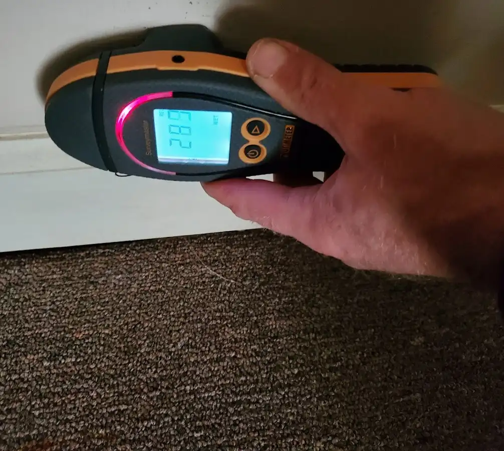 Moisture detection at baseboard during Mold Inspection & Testing in Ramona